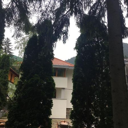 Manyi Villa BaileTusnad Exterior foto