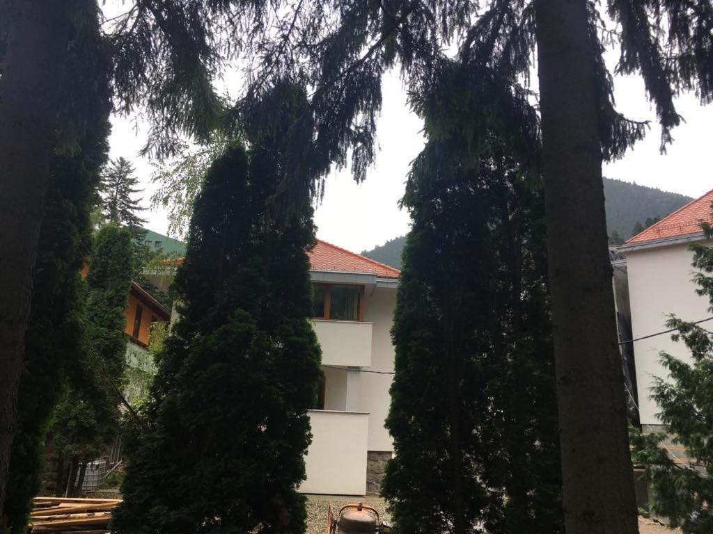 Manyi Villa BaileTusnad Exterior foto