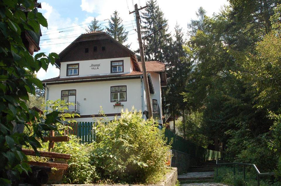 Manyi Villa BaileTusnad Exterior foto