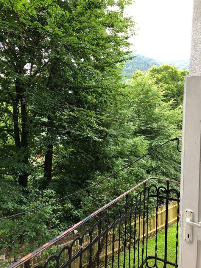 Manyi Villa BaileTusnad Exterior foto