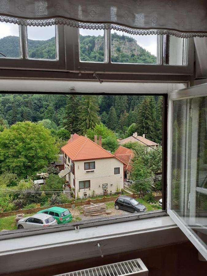 Manyi Villa BaileTusnad Exterior foto